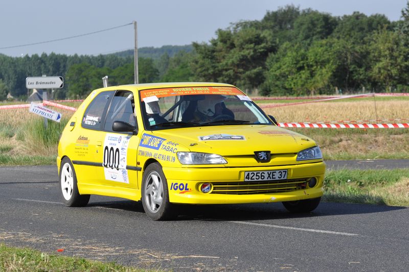Patrin D 3.jpg